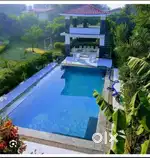 Urgently sale my farmhouse farmland