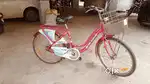 Reeva-Miss India cycle