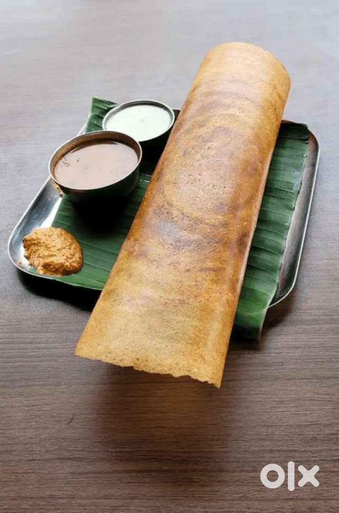Dosa master wanted