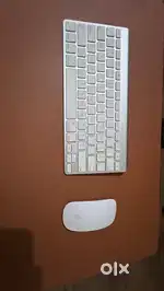 Apple magic keyboard, and Apple magic mouse gen 1