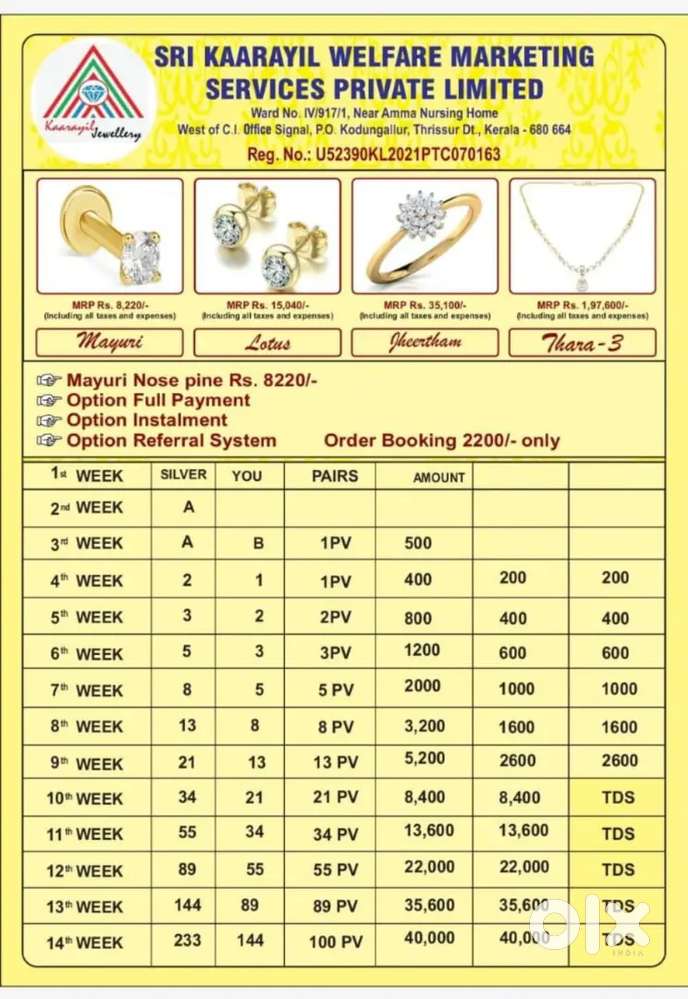Network Income Plan  in Gold & Diamond Company