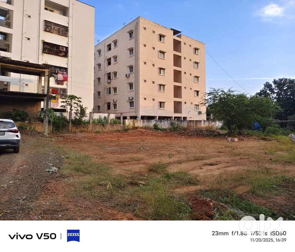 Fruit market Diwancheruvu