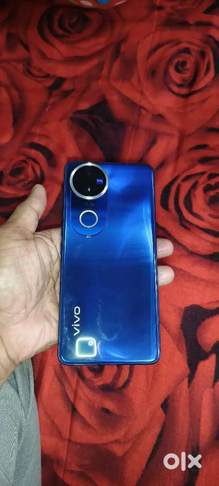 Vivo V50 8gb 256
