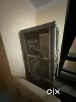 Summer water cooler for sale