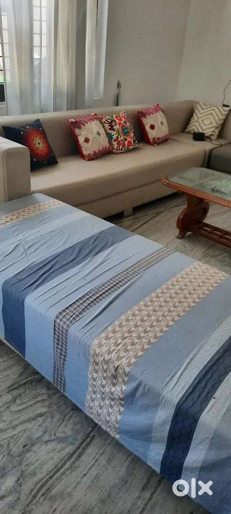 Sofa  16 seater drawing room