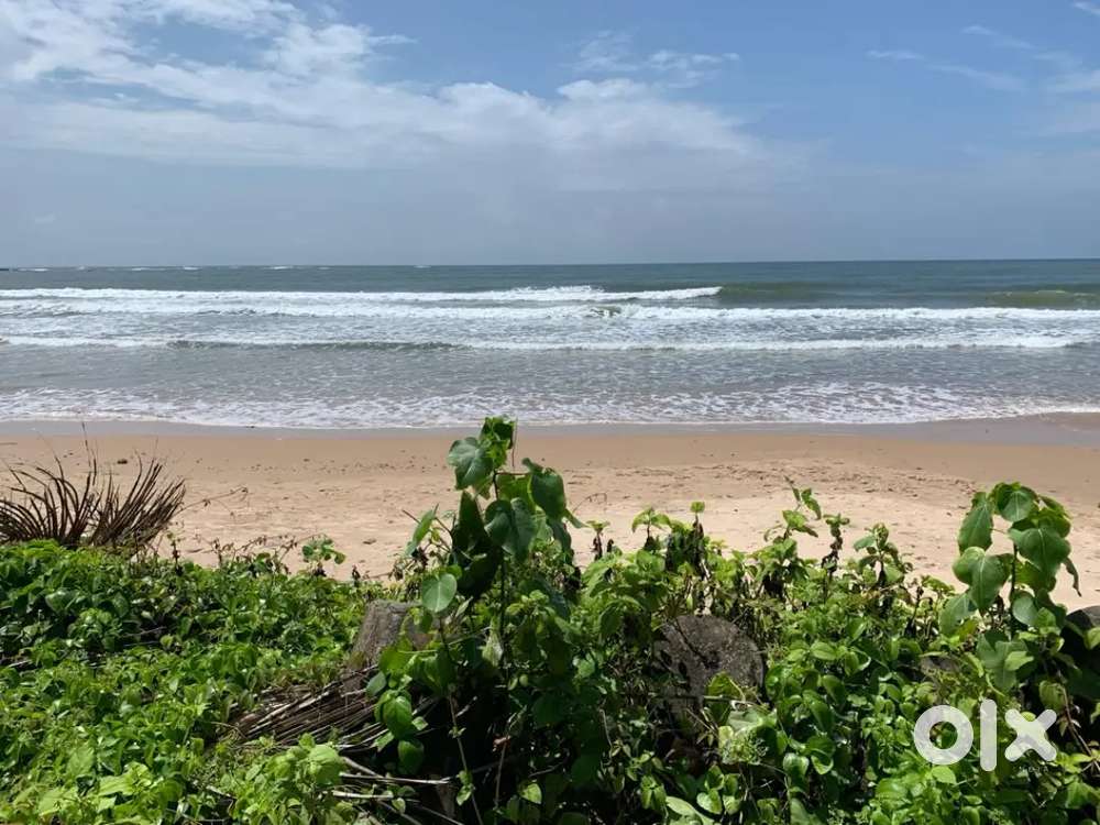 3 acer beach touch plot at Vengurla in Sindhudurg.