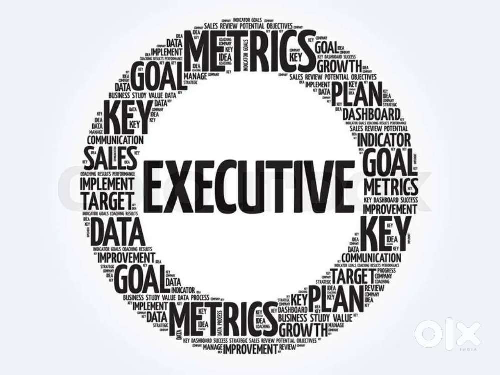 Immediate requirement for Document Collection Executive