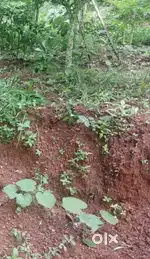 Good Residential plot  for sale/brokers pls excuse