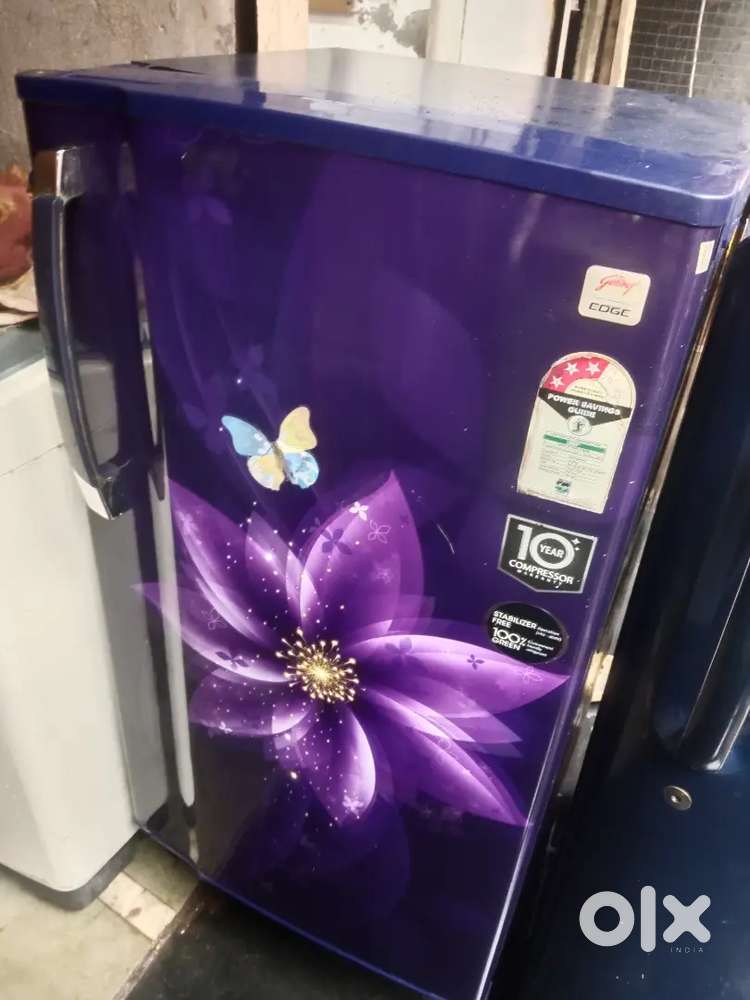 Godrej 190 Ltr tapan glass flower print dor