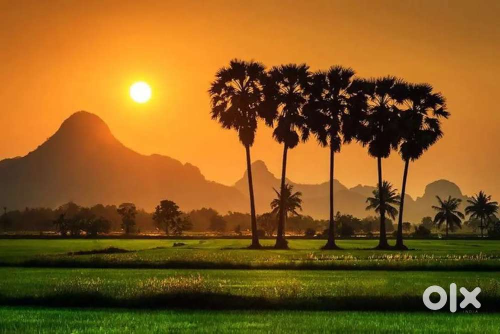 Plot sale in pondycherry