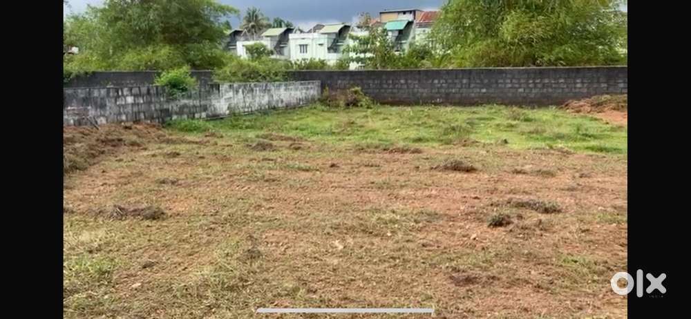 5,6,7 cent plots for sale near Nedumbassery NH 250 mtr