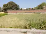 9,5 marla plot in swankha morh.double side road Plot rs 5.85 per marla