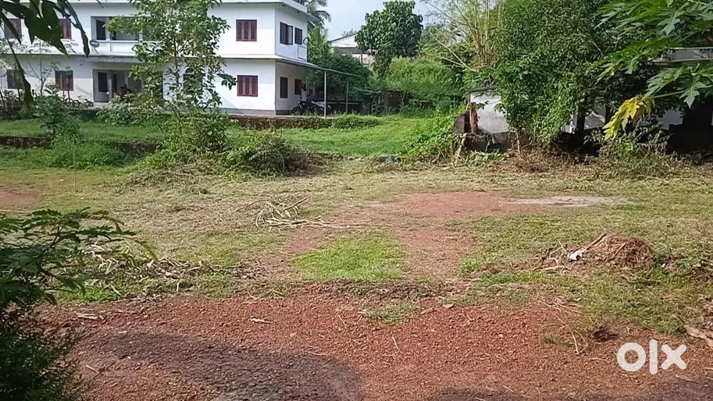 Plot 10 cent Perumpadari Mannarkkad Palakkad