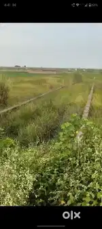 Plot who want to live own house