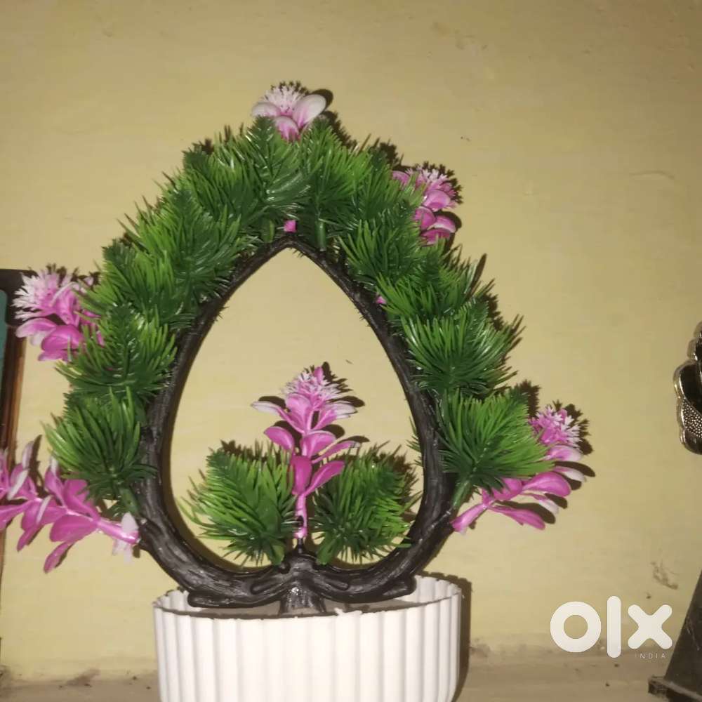 This is a best flowers