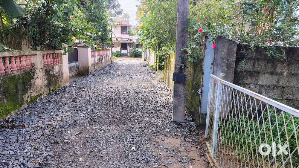 3 Cents plot at Puthiyakavu Tripunithura near state highway(100 mtrs)