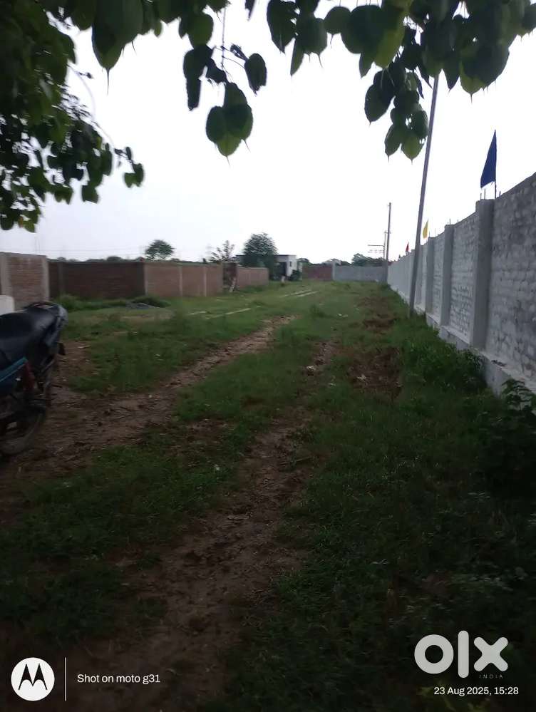 Plot location IIT college se aage hai