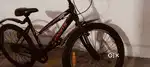 20 inches bycycle