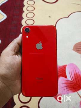 I phone xr color product red