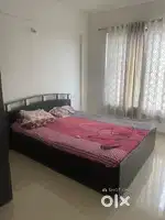 looking for a roommate
