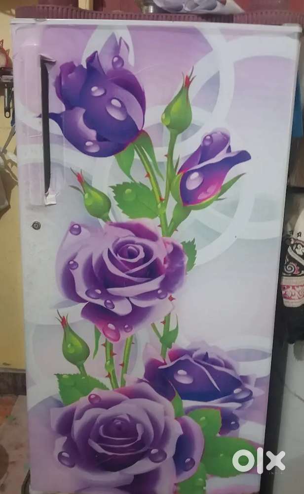 ELECTROLUX single door fridge