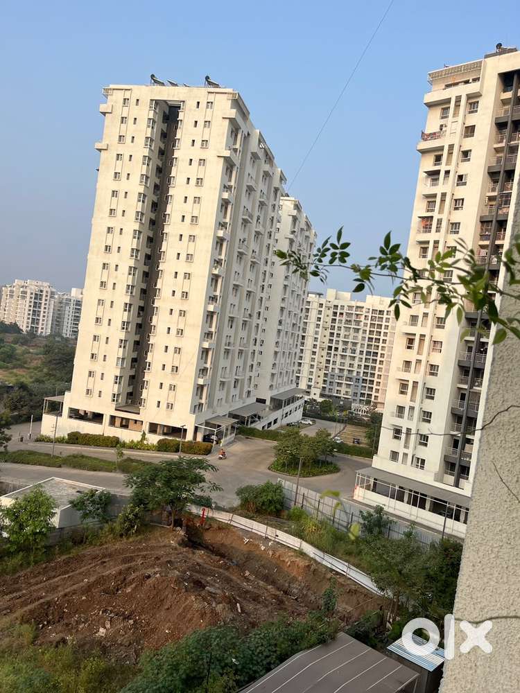 Any Flatmate needed, Cozy room in a quiet neighborhood