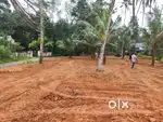 Kothamangalam paingottoor house plot for sale