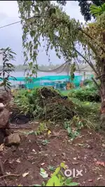 6 cents waterfront original land near kandanad boat jetty