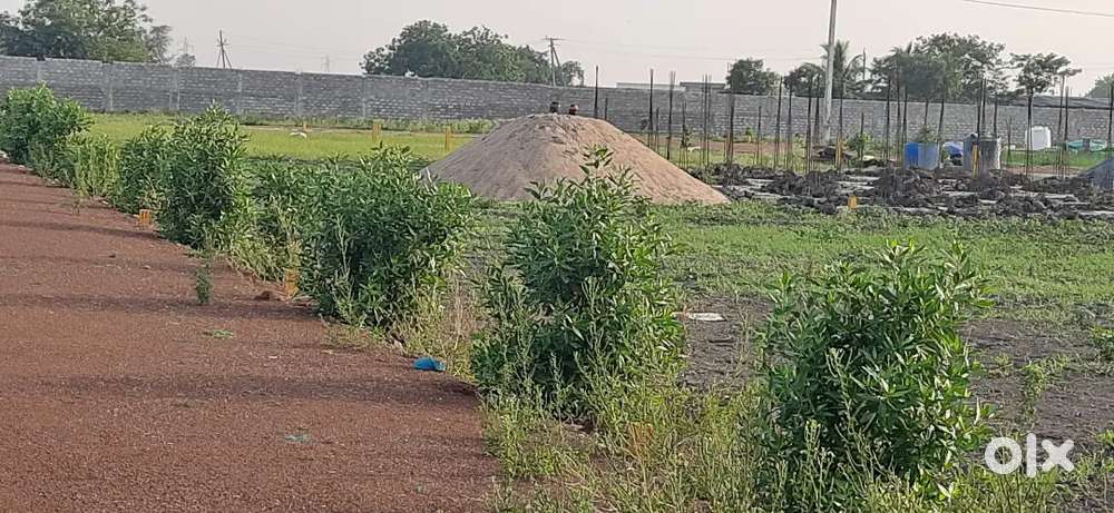 అమరావతి రాజధానిలో  పూలింగ్ ప్లాట్స్. బసవతారకం హాస్పిటల్ దగ్గరలో