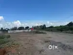 Excellent 7200 sq ft multipurpose on road property land for rent