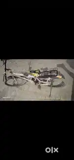 Best cycle in 5000