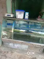 Freezer counter best condition