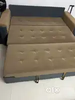 Sofa cum bed