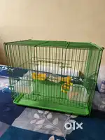 Cage love birds