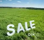 10 Acres Main Road Frontage Land For Sale in Kakkanad