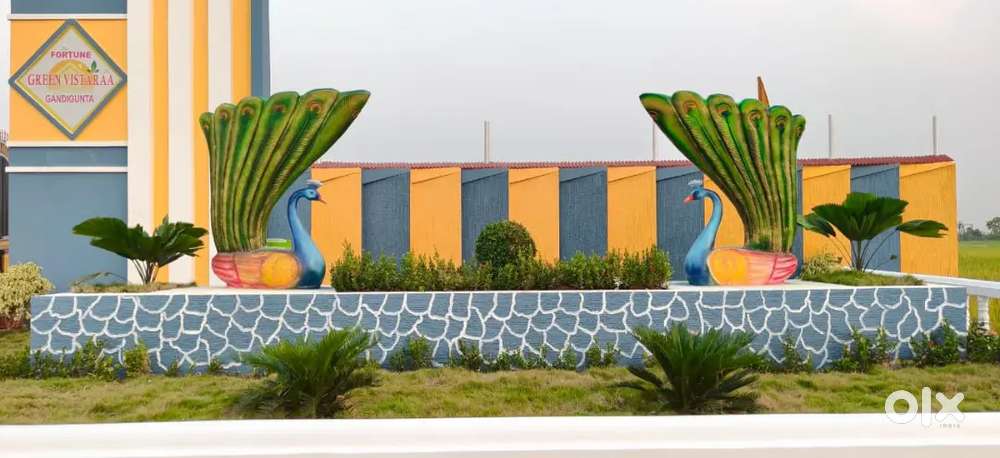 AKUNURU Village, Kankipadu Zone