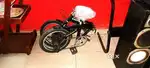Folding cycle for sale