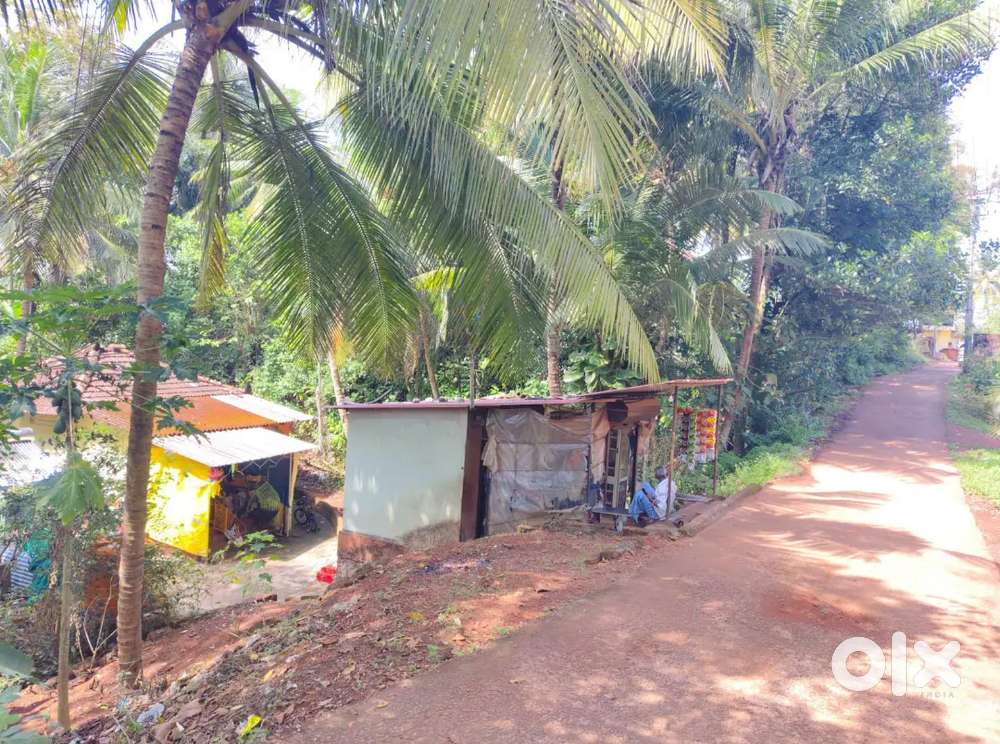 House with Grocery shop for sale at thenkanidiyoor