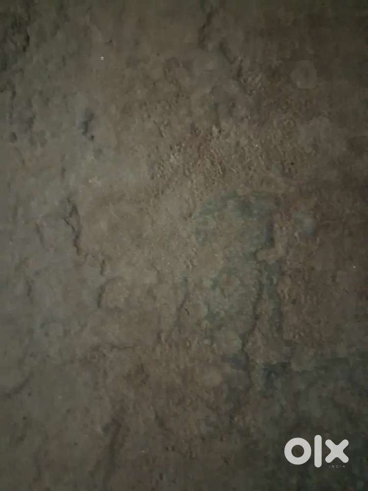 Gujjar chowk kajipur near L block shastri Nagar