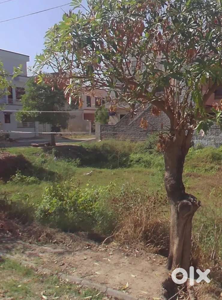 Plot Noc available, approved colony