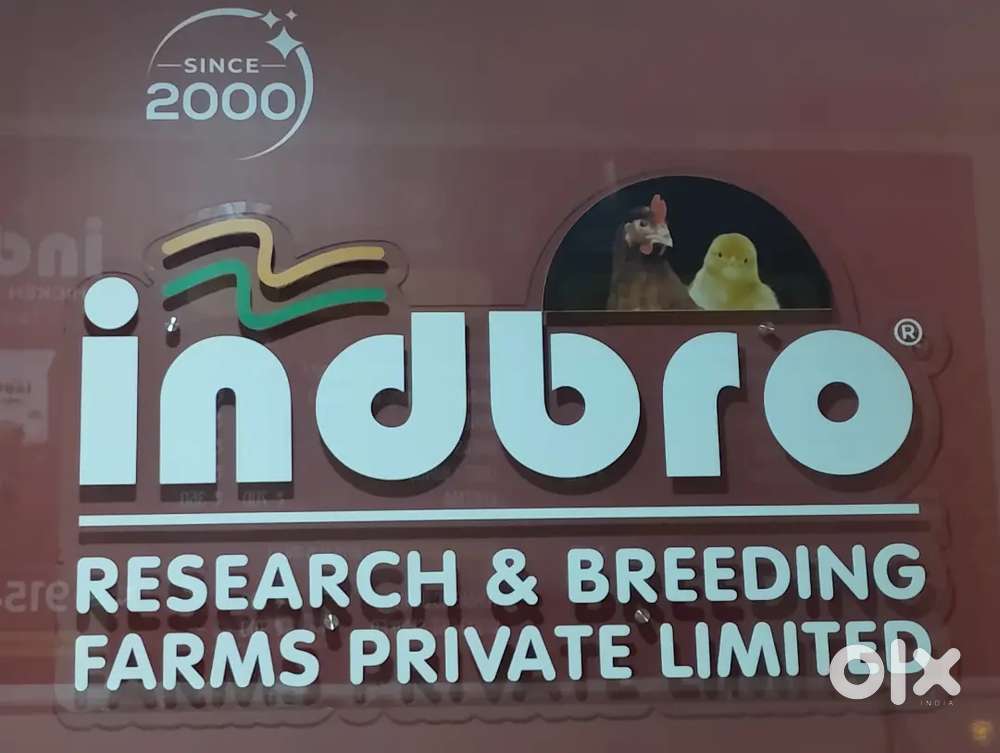 Marketing executive required for brown eggs and live birds sale