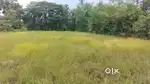 Agriculture land for sale 56 cents 20,00,000/-