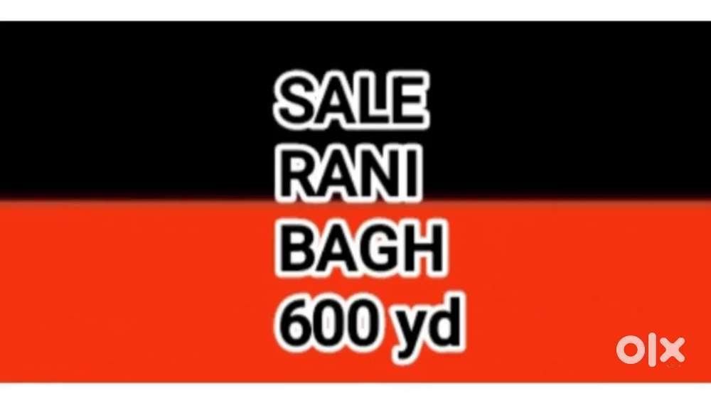 Rani ka bagh commercial and semi commercial property available fr sale
