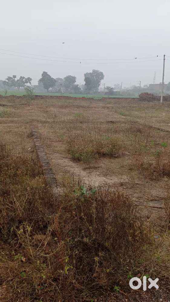 Agra bichpuri midhakur relway crossing ke pass