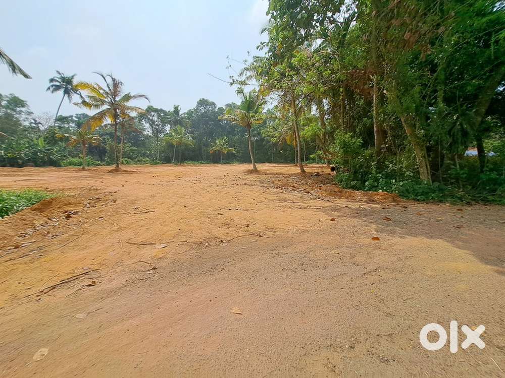 TAR ROAD FRON PLOT NEAR NH IN KALAVOOR