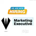 MARKETING EXECUTIVE