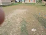 3.5 Katha land for Sale Per katha 3.5 Lakh