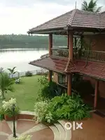80 Cent Land For Sale in Kakkanad