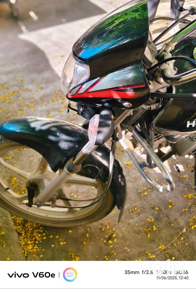 2014 modal,11 year old