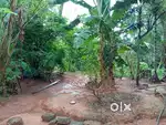 plot for sale in Ottapalam